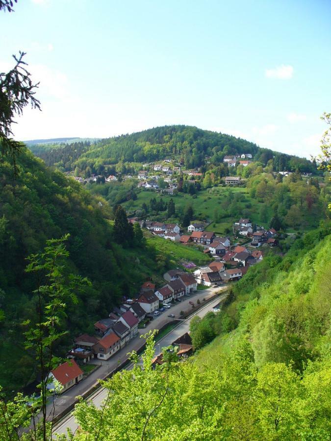 Landhaus Kathrin Walkenried Bagian luar foto
