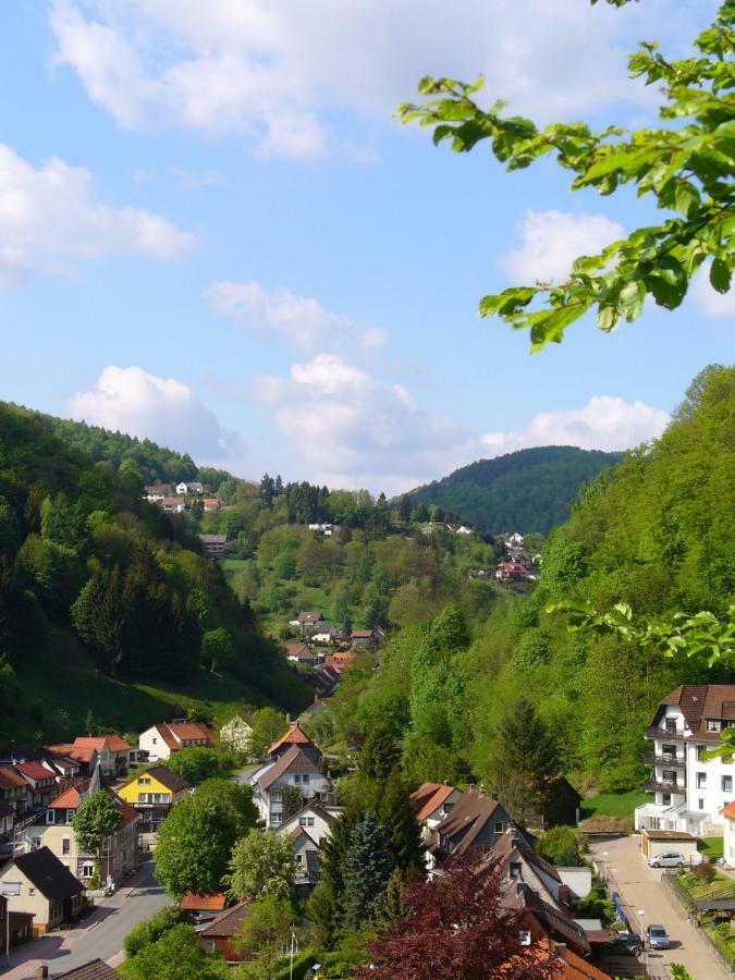 Landhaus Kathrin Walkenried Bagian luar foto
